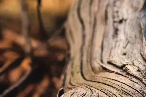 Detalhes da arquitetura
